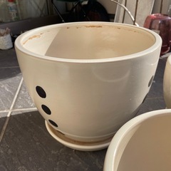 陶器の植木鉢🪴の画像