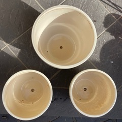 陶器の植木鉢🪴の画像