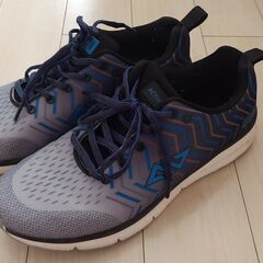 ACTIVEGEAR（アクティブギア）スニーカー（25㎝）