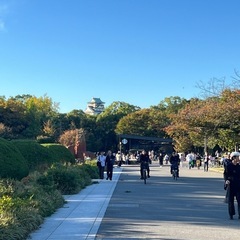今日、京都観光できる方募集