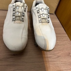 レディースゴルフシューズFJ 24cm
の画像