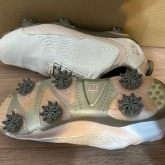 レディースゴルフシューズFJ 24cm
の画像