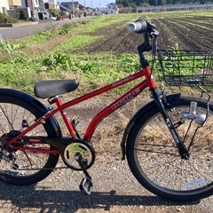 ドライド　BEAT246-J   24インチ