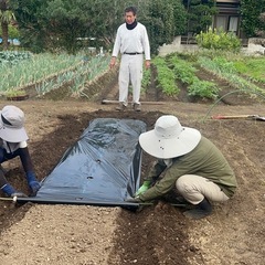 農業、不動産管理、《猫ちゃんも19匹飼ってます(^^)》の画像