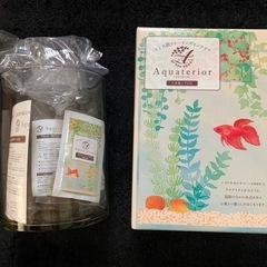 アクアテリア　ベタ用