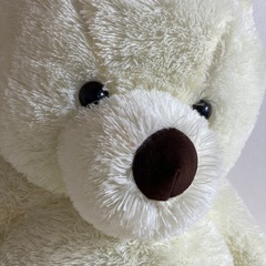 くまの大きいぬいぐるみの画像