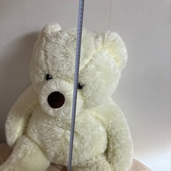 くまの大きいぬいぐるみの画像