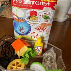 【中古】金魚すくいセット テトラ金魚 金魚飼育セット 金魚初心者...
