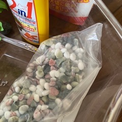 【中古】金魚すくいセット テトラ金魚 金魚飼育セット 金魚初心者 金魚フィルター 金魚飼育用品 ポイ付き 水槽フィルター 子供と金魚 金魚を飼いたいの画像