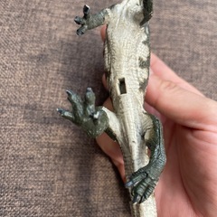 恐竜　決定の画像