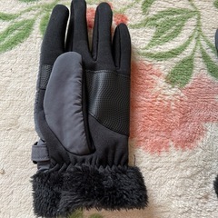 手袋ですレディースの画像