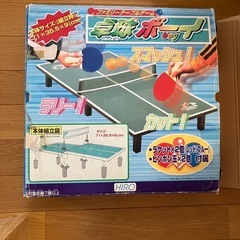 卓上　卓球 