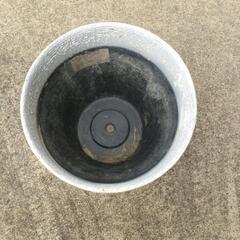 鉢⑥