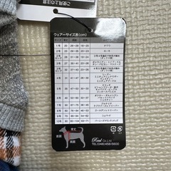 犬 ワンちゃん 服 洋服の画像