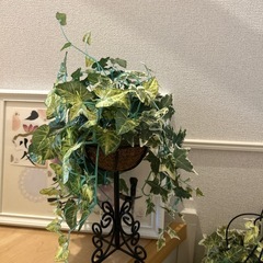 フェイク観葉植物