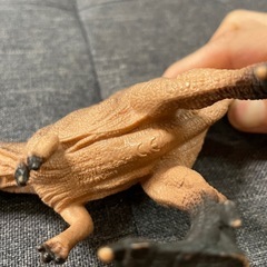恐竜決定の画像