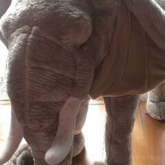 象🐘座れるぬいぐるみ？