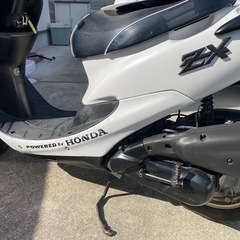 HONDA ライブディオZX 原付　原チャリの画像