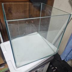 ３０センチ キューブ水槽 ひびあります。