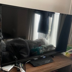 テレビの画像