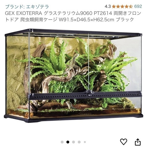 爬虫類　ケージ　大きい
