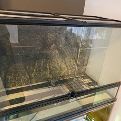 爬虫類　ケージ　大きい
の画像