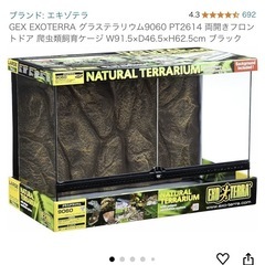 爬虫類　ケージ　大きい
