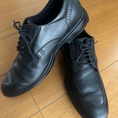 27.0 3E 黒靴　テクシーリュクス