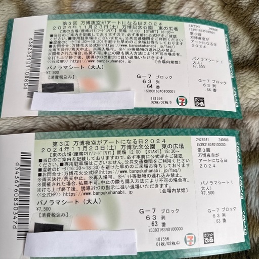 万博夜空がアートになる日花火大会チケット