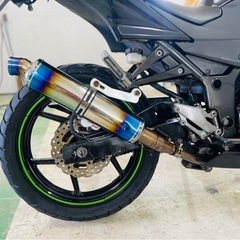 Kawasaki ninja250