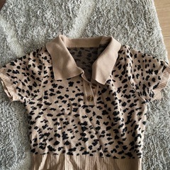 ヒョウ柄ヘソ見せニットTシャツ