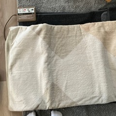 無料　パナソニック　ホットカーペット&上掛けの画像