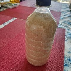 お米　米　ごはん