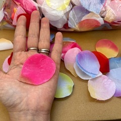 【猫の治療費カンパ🐾】フラワーシャワー用花びら