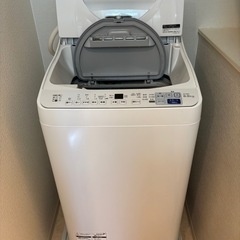 2024年製シャープ 6．5kg洗濯乾燥機の画像