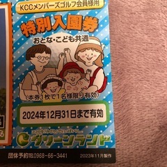 グリーンランド入園券  2枚