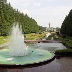 公園散歩仲間募集