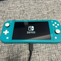 早い方優先！Nintendo switch Liteの画像