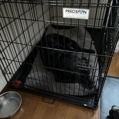 ゲージ　犬小屋