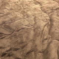 【新品未使用】大型 毛布布団(2人用)の画像