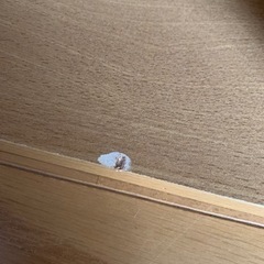 カラーボックスの画像