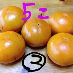 今週限定！柿5こセット