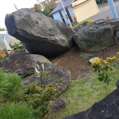 庭石　無料ですの画像