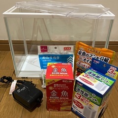 金魚育成セット