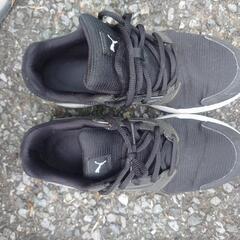 PUMAスニカー