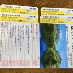 ANA株主優待券2024.11.30まで4枚