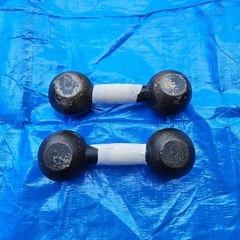 引き取っていただける方いませんか？筋トレ　トレーニング　4kg ...
