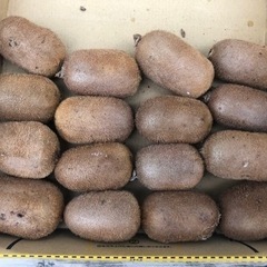 残り少なくなりました　三次産キウイフルーツ　　　