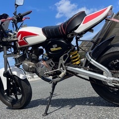 モンキーカスタム110cc★の画像