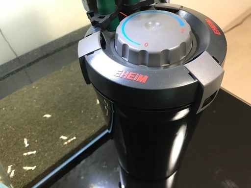 ADA水槽セット（エーハイムフィルターとレッドビー、貝つき）